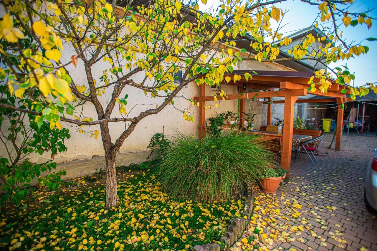 Lizak Apartamento Berehove  Exterior foto